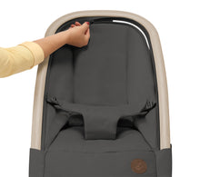 Load image into Gallery viewer, KORI