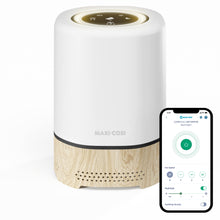 Load image into Gallery viewer, CLEAN 3-IN-1 AIR PURIFIER
