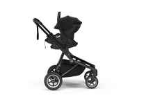 Load image into Gallery viewer, MAPLE