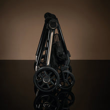 Load image into Gallery viewer, REEF 2 SPECIAL EDITION