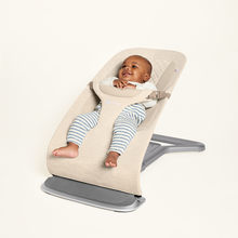 Load image into Gallery viewer, EVOLVE BOUNCER