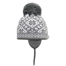 Load image into Gallery viewer, ALICE