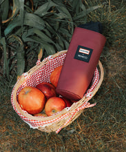 Load image into Gallery viewer, Venicci x Hunter Tinum Upline3 4in1 Plus Ultimate Bundle
